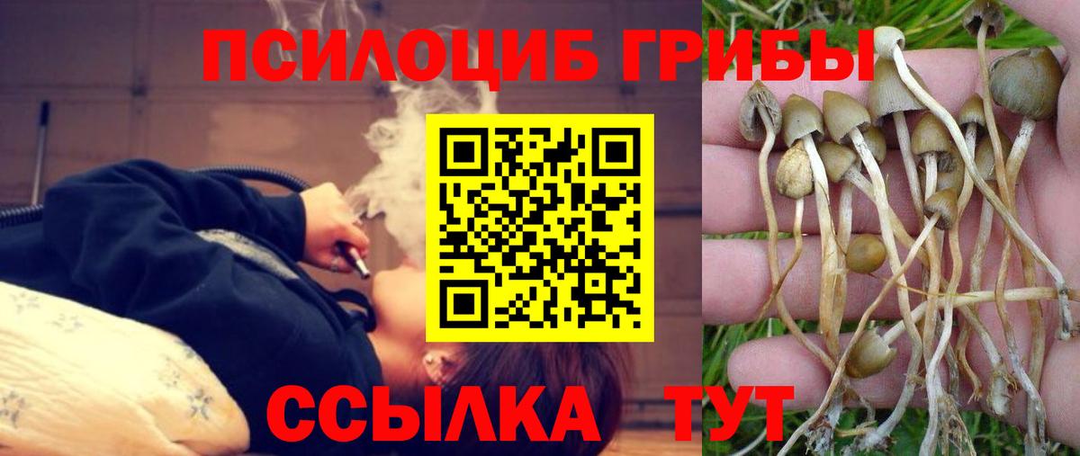 Галлюциногенные грибы Magic Shrooms  Вход с VPN  Самара 